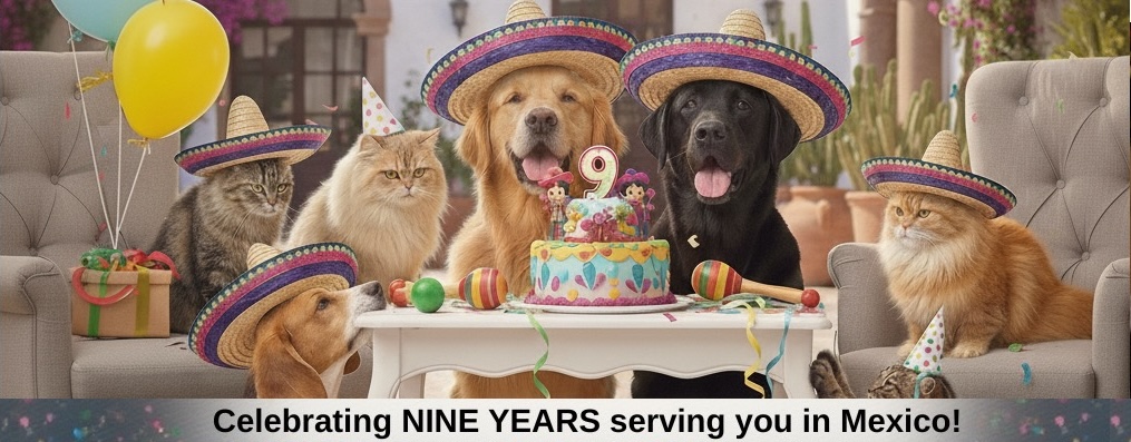 Traditional Guelaguetza dancers in colorful dresses carrying baskets on their heads, with fireworks lighting up a festive street in Mexico.